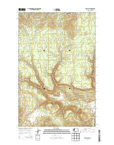 Wellpinit Washington Current topographic map, 1:24000 scale, 7.5 X 7.5 Minute, Year 2014