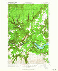 Wellpinit Washington Historical topographic map, 1:62500 scale, 15 X 15 Minute, Year 1953