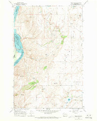 Wells Dam Washington Historical topographic map, 1:24000 scale, 7.5 X 7.5 Minute, Year 1968