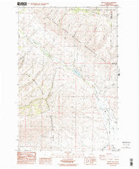 Wenas Lake Washington Historical topographic map, 1:24000 scale, 7.5 X 7.5 Minute, Year 1985