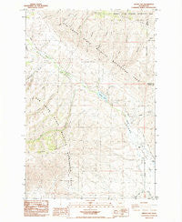 Wenas Lake Washington Historical topographic map, 1:24000 scale, 7.5 X 7.5 Minute, Year 1985