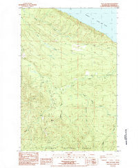 West of Pysht Washington Historical topographic map, 1:24000 scale, 7.5 X 7.5 Minute, Year 1984
