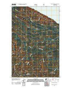 West of Pysht Washington Historical topographic map, 1:24000 scale, 7.5 X 7.5 Minute, Year 2011