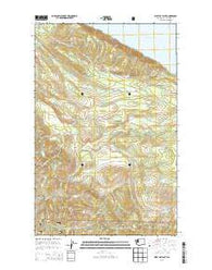 West of Pysht Washington Current topographic map, 1:24000 scale, 7.5 X 7.5 Minute, Year 2014