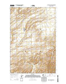 West of Washtucna Washington Current topographic map, 1:24000 scale, 7.5 X 7.5 Minute, Year 2013