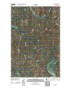 Western Washington Historical topographic map, 1:24000 scale, 7.5 X 7.5 Minute, Year 2011