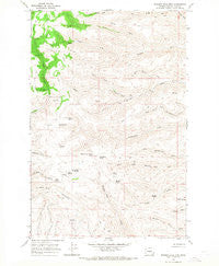 Whiskey Dick Mtn. Washington Historical topographic map, 1:24000 scale, 7.5 X 7.5 Minute, Year 1966