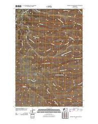 Whiskey Dick Mountain Washington Historical topographic map, 1:24000 scale, 7.5 X 7.5 Minute, Year 2011