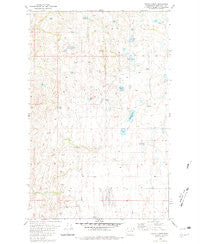 White Lakes Washington Historical topographic map, 1:24000 scale, 7.5 X 7.5 Minute, Year 1980