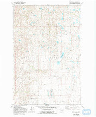 White Lakes Washington Historical topographic map, 1:24000 scale, 7.5 X 7.5 Minute, Year 1980