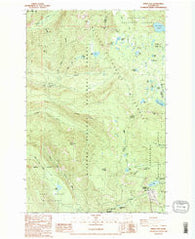 White Pass Washington Historical topographic map, 1:24000 scale, 7.5 X 7.5 Minute, Year 1988