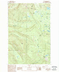 White Pass Washington Historical topographic map, 1:24000 scale, 7.5 X 7.5 Minute, Year 1988