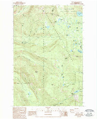 White Pass Washington Historical topographic map, 1:24000 scale, 7.5 X 7.5 Minute, Year 1988