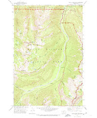 White River Park Washington Historical topographic map, 1:24000 scale, 7.5 X 7.5 Minute, Year 1971