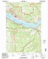 White Salmon Washington Historical topographic map, 1:24000 scale, 7.5 X 7.5 Minute, Year 1994