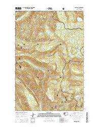 White Pass Washington Current topographic map, 1:24000 scale, 7.5 X 7.5 Minute, Year 2014