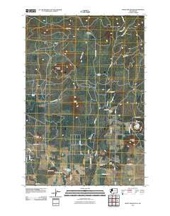 White Pine Buttes Washington Historical topographic map, 1:24000 scale, 7.5 X 7.5 Minute, Year 2011