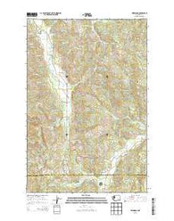 Wildwood Washington Current topographic map, 1:24000 scale, 7.5 X 7.5 Minute, Year 2013