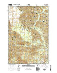 Willard Washington Current topographic map, 1:24000 scale, 7.5 X 7.5 Minute, Year 2014