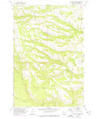 Willy Dick Canyon Washington Historical topographic map, 1:24000 scale, 7.5 X 7.5 Minute, Year 1957