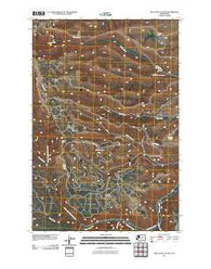 Willy Dick Canyon Washington Historical topographic map, 1:24000 scale, 7.5 X 7.5 Minute, Year 2011