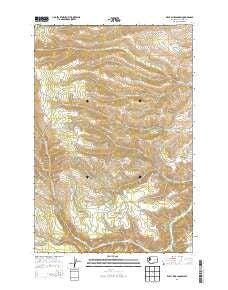 Willy Dick Canyon Washington Current topographic map, 1:24000 scale, 7.5 X 7.5 Minute, Year 2014