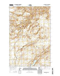 Wilson Creek SW Washington Current topographic map, 1:24000 scale, 7.5 X 7.5 Minute, Year 2014