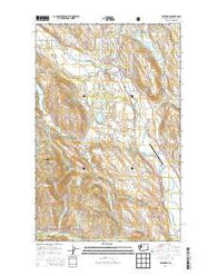 Winthrop Washington Current topographic map, 1:24000 scale, 7.5 X 7.5 Minute, Year 2014