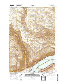 Wood Gulch Washington Current topographic map, 1:24000 scale, 7.5 X 7.5 Minute, Year 2014