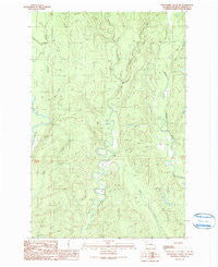 Wynoochee Valley NE Washington Historical topographic map, 1:24000 scale, 7.5 X 7.5 Minute, Year 1990