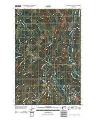 Wynoochee Valley NE Washington Historical topographic map, 1:24000 scale, 7.5 X 7.5 Minute, Year 2011