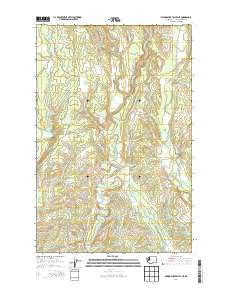 Wynoochee Valley NE Washington Current topographic map, 1:24000 scale, 7.5 X 7.5 Minute, Year 2014