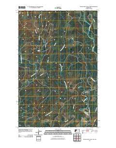 Wynoochee Valley NW Washington Historical topographic map, 1:24000 scale, 7.5 X 7.5 Minute, Year 2011