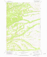 Yesmowit Canyon Washington Historical topographic map, 1:24000 scale, 7.5 X 7.5 Minute, Year 1957
