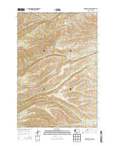 Yesmowit Canyon Washington Current topographic map, 1:24000 scale, 7.5 X 7.5 Minute, Year 2013