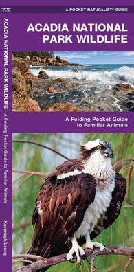 Buy map Acadia National Park Wildlife