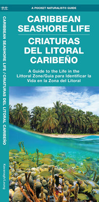 Buy map Caribbean Seashore Life / Criaturas Del Litoral Caribeño