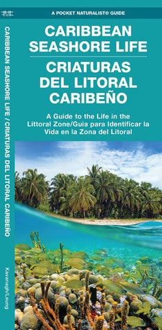 Buy map Caribbean Seashore Life / Criaturas Del Litoral Caribeño
