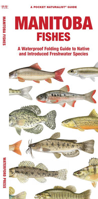 Buy map Manitoba Fishes: A Folding Guide