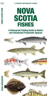 Buy map Nova Scotia Fishes: A Folded Guide