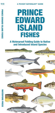 Buy map Prince Edward Island Fishes