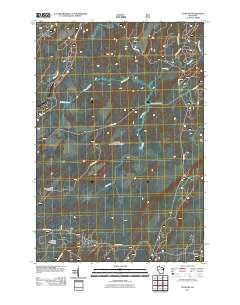 Alvin SW Wisconsin Historical topographic map, 1:24000 scale, 7.5 X 7.5 Minute, Year 2011