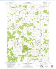 Arpin Wisconsin Historical topographic map, 1:24000 scale, 7.5 X 7.5 Minute, Year 1979