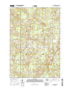 Birnamwood Wisconsin Current topographic map, 1:24000 scale, 7.5 X 7.5 Minute, Year 2015