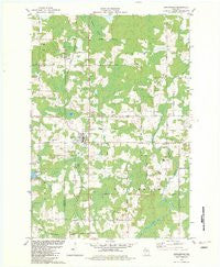 Birnamwood Wisconsin Historical topographic map, 1:24000 scale, 7.5 X 7.5 Minute, Year 1982