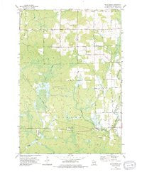 Black Brook Wisconsin Historical topographic map, 1:24000 scale, 7.5 X 7.5 Minute, Year 1973
