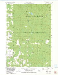 Burney Lake Wisconsin Historical topographic map, 1:24000 scale, 7.5 X 7.5 Minute, Year 1982