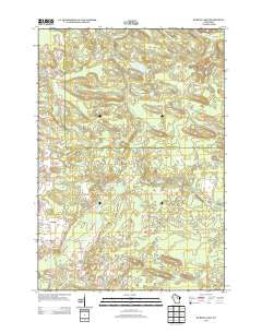 Burney Lake Wisconsin Historical topographic map, 1:24000 scale, 7.5 X 7.5 Minute, Year 2013