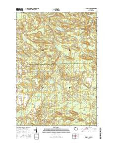Burney Lake Wisconsin Current topographic map, 1:24000 scale, 7.5 X 7.5 Minute, Year 2016