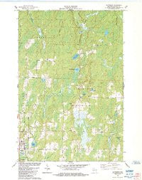 Butternut Wisconsin Historical topographic map, 1:24000 scale, 7.5 X 7.5 Minute, Year 1984